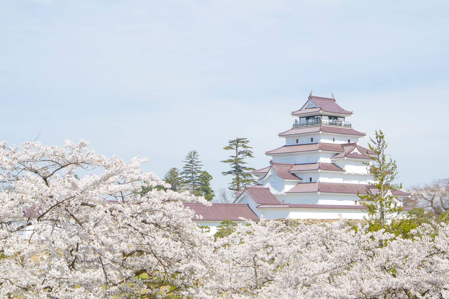 鶴ヶ城